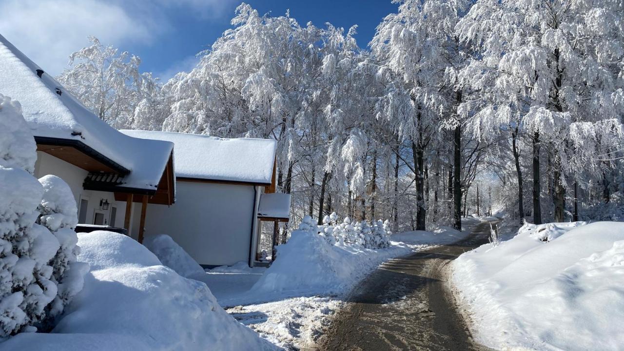 Domek Goscinny Dyziowka Szczyrk Exterior foto