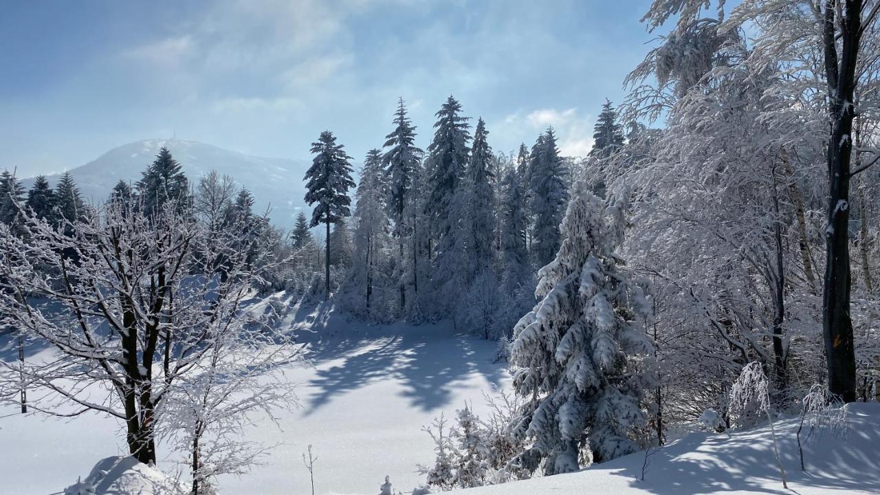 Domek Goscinny Dyziowka Szczyrk Exterior foto